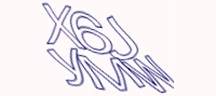 Test visivo