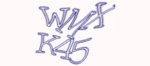Test visivo
