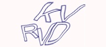 Test visivo