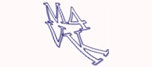 Test visivo
