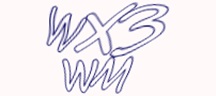 Test visivo