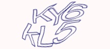 Test visivo