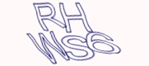 Test visivo