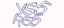 Test visivo