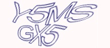 Test visivo