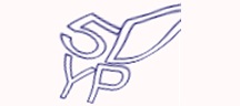 Test visivo