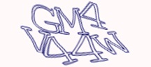 Test visivo