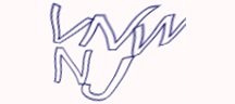 Test visivo
