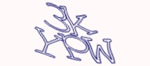 Test visivo