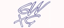 Test visivo
