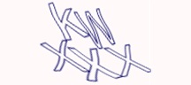 Test visivo