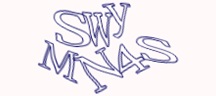 Test visivo