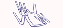 Test visivo