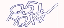 Test visivo