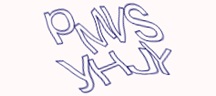 Test visivo