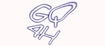 Test visivo