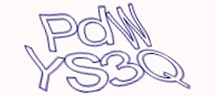Test visivo