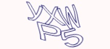 Test visivo