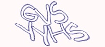 Test visivo