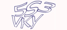 Test visivo