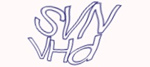 Test visivo